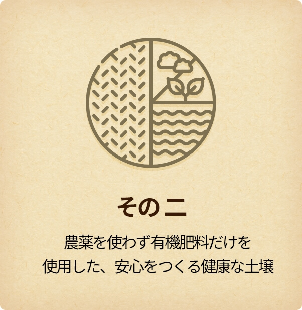 その二 農薬を使わず有機肥料だけを<br>使用した、安心をつくる健康な土壌